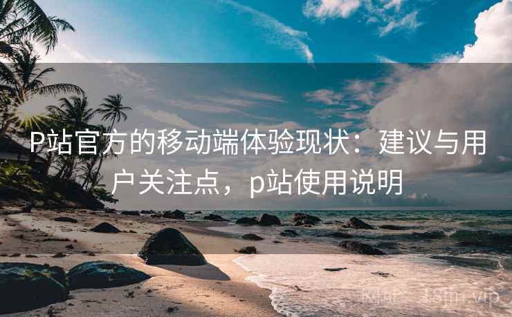 P站官方的移动端体验现状：建议与用户关注点，p站使用说明