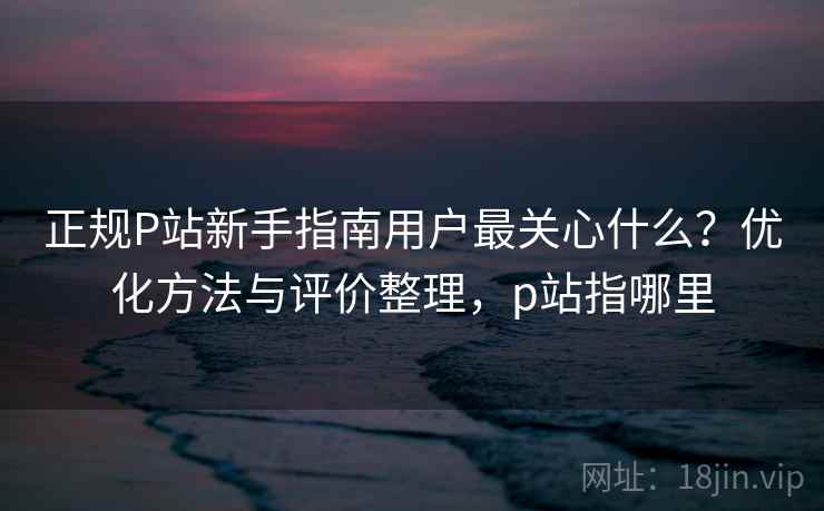 正规P站新手指南用户最关心什么？优化方法与评价整理，p站指哪里  第1张
