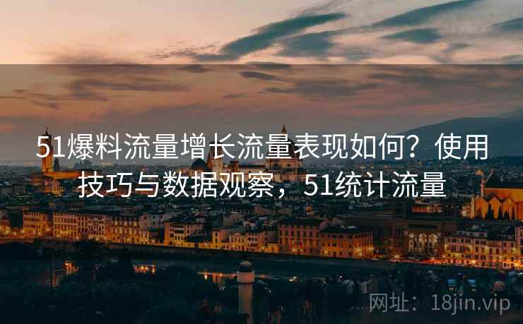 51爆料流量增长流量表现如何？使用技巧与数据观察，51统计流量  第1张