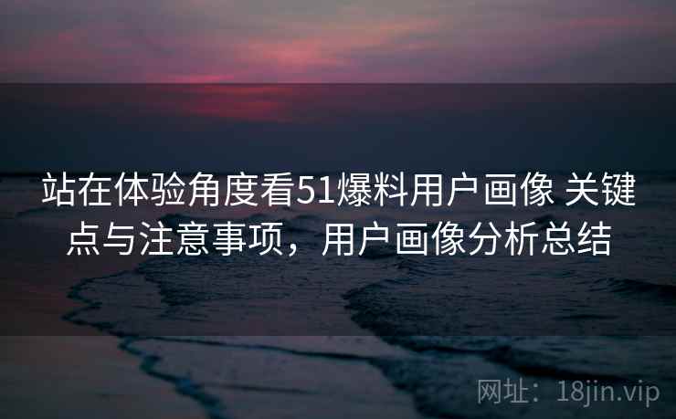 站在体验角度看51爆料用户画像 关键点与注意事项，用户画像分析总结  第2张