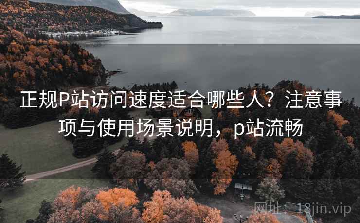 正规P站访问速度适合哪些人？注意事项与使用场景说明，p站流畅  第2张