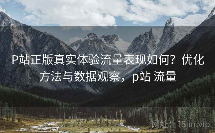 P站正版真实体验流量表现如何？优化方法与数据观察，p站 流量  第2张
