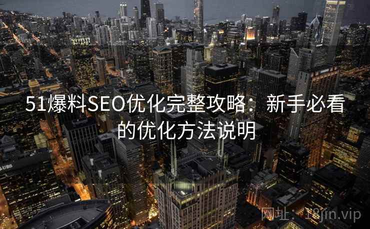 51爆料SEO优化完整攻略：新手必看的优化方法说明  第1张