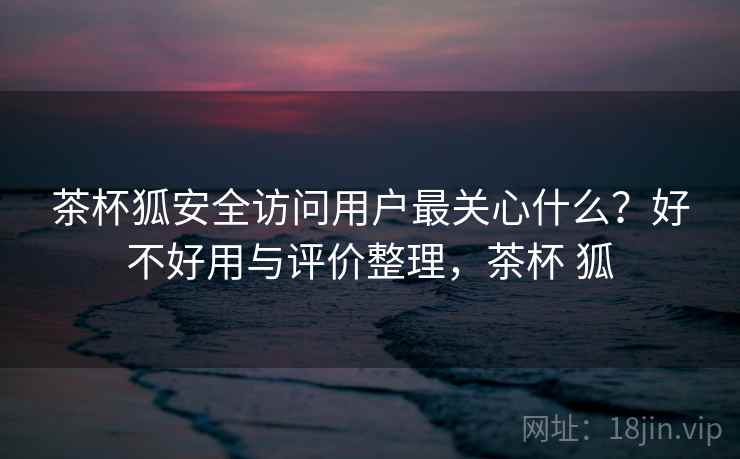 茶杯狐安全访问用户最关心什么？好不好用与评价整理，茶杯 狐  第2张