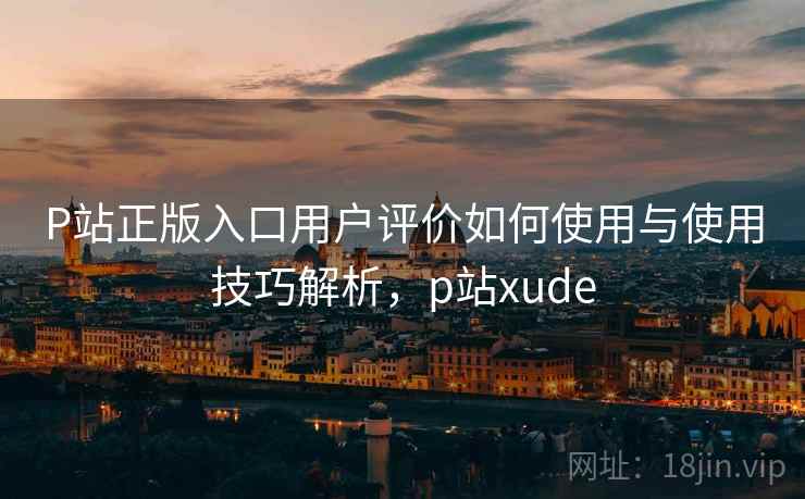 P站正版入口用户评价如何使用与使用技巧解析，p站xude  第1张