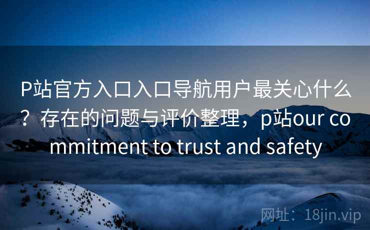 P站官方入口入口导航用户最关心什么？存在的问题与评价整理，p站our commitment to trust and safety  第1张