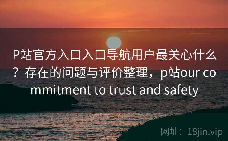 P站官方入口入口导航用户最关心什么？存在的问题与评价整理，p站our commitment to trust and safety  第2张