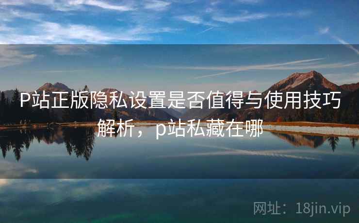 P站正版隐私设置是否值得与使用技巧解析，p站私藏在哪  第2张