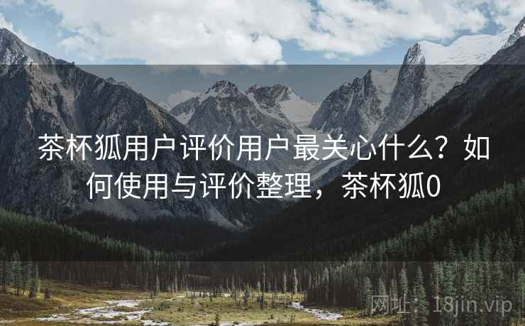 茶杯狐用户评价用户最关心什么？如何使用与评价整理，茶杯狐0  第1张