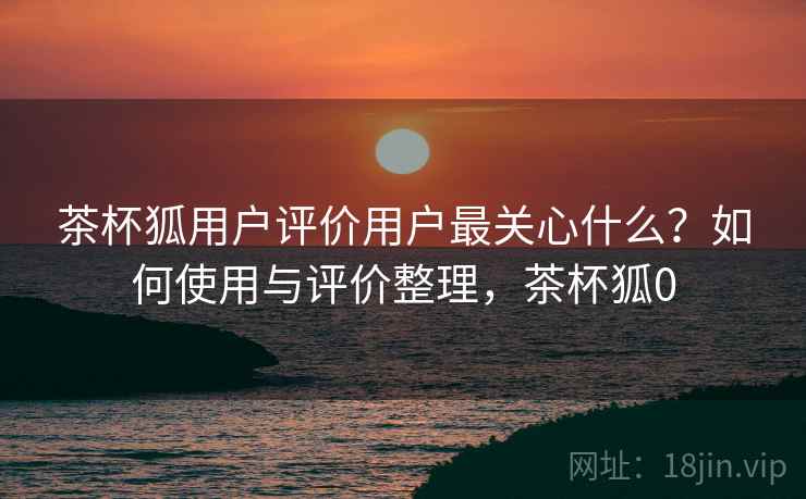 茶杯狐用户评价用户最关心什么？如何使用与评价整理，茶杯狐0  第2张