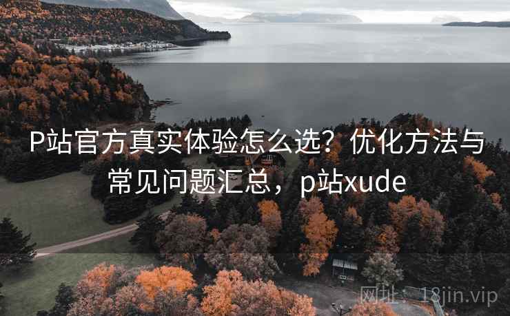 P站官方真实体验怎么选？优化方法与常见问题汇总，p站xude  第2张