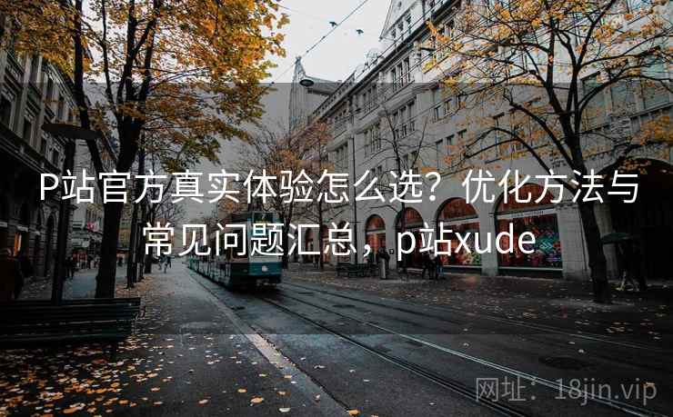 P站官方真实体验怎么选？优化方法与常见问题汇总，p站xude  第1张