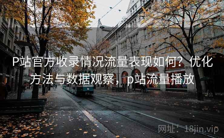 P站官方收录情况流量表现如何？优化方法与数据观察，p站流量播放  第2张