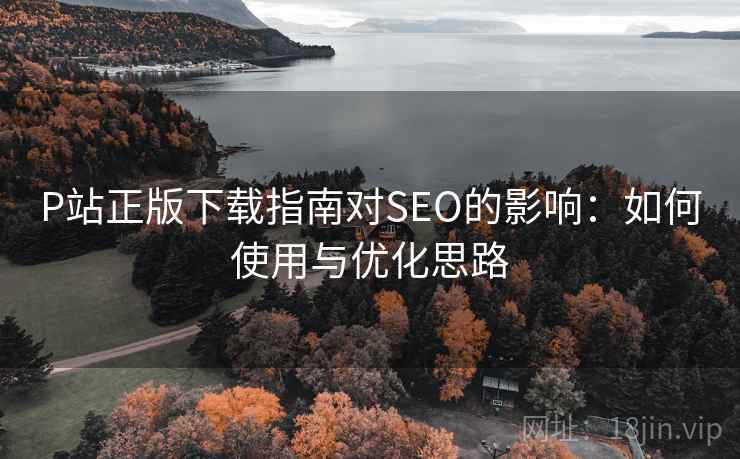 P站正版下载指南对SEO的影响：如何使用与优化思路  第1张