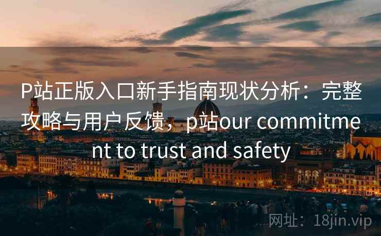 P站正版入口新手指南现状分析：完整攻略与用户反馈，p站our commitment to trust and safety  第1张