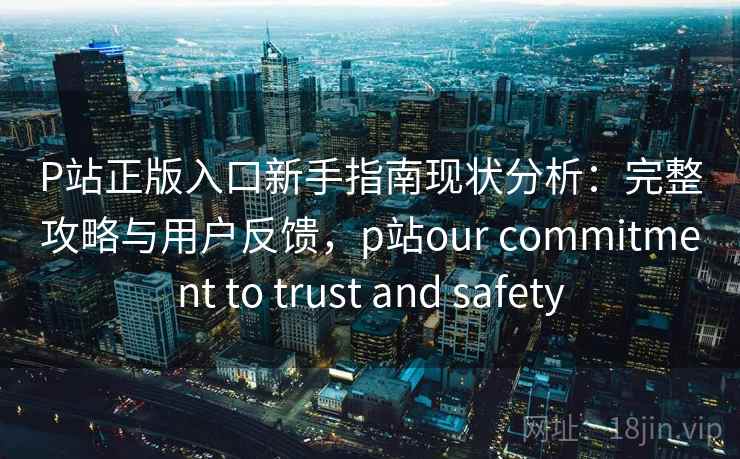 P站正版入口新手指南现状分析：完整攻略与用户反馈，p站our commitment to trust and safety  第2张
