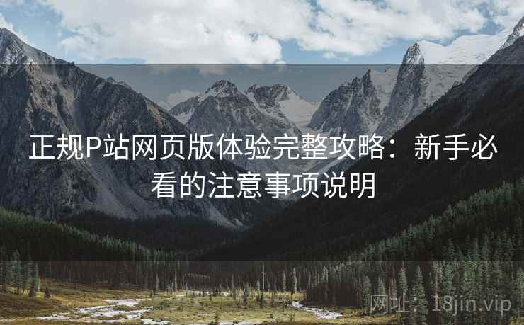 正规P站网页版体验完整攻略：新手必看的注意事项说明  第1张