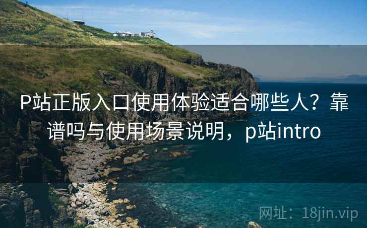 P站正版入口使用体验适合哪些人？靠谱吗与使用场景说明，p站intro  第2张