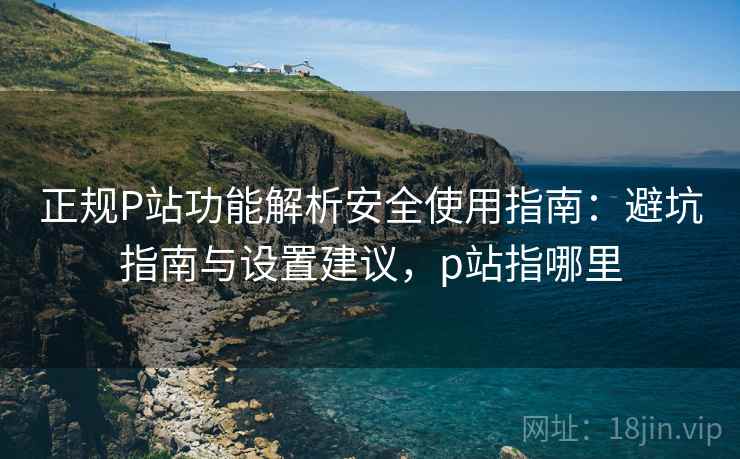 正规P站功能解析安全使用指南:避坑指南与设置建议,p站指哪里 第2张 正规P站功能解析安全使用指南:避坑指南与设置建议,p站指哪里 第2张
