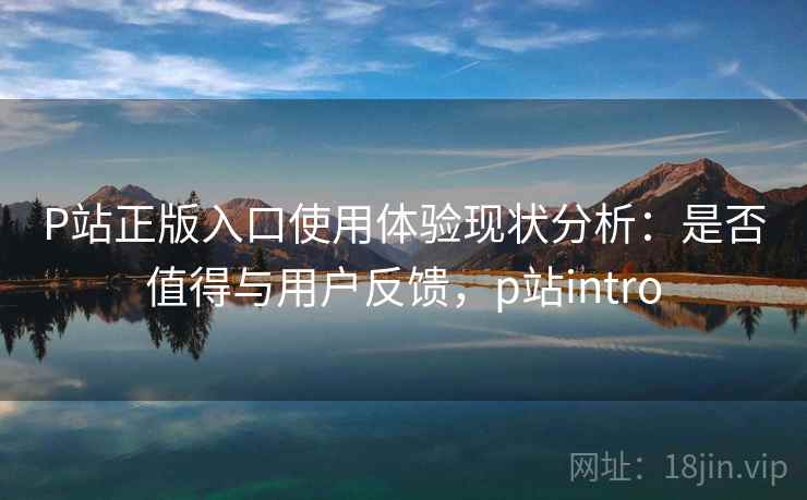 P站正版入口使用体验现状分析：是否值得与用户反馈，p站intro  第2张