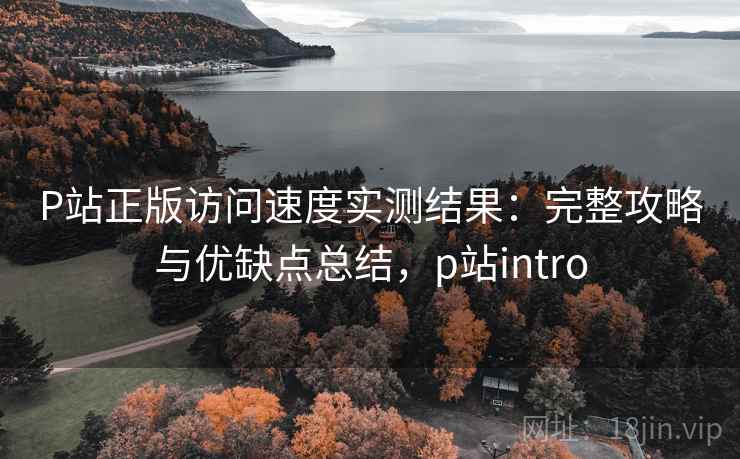 P站正版访问速度实测结果:完整攻略与优缺点总结,p站intro 第2张 P站正版访问速度实测结果:完整攻略与优缺点总结,p站intro 第2张