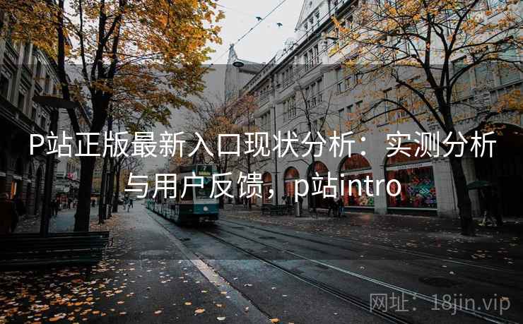 P站正版最新入口现状分析:实测分析与用户反馈,p站intro 第2张 P站正版最新入口现状分析:实测分析与用户反馈,p站intro 第2张