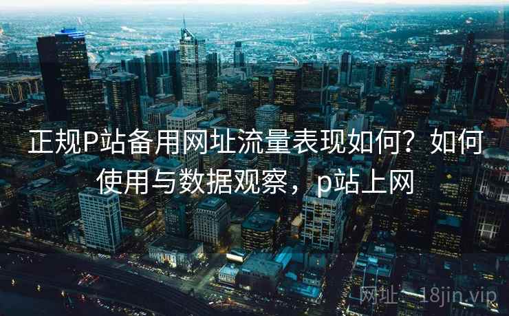 正规P站备用网址流量表现如何？如何使用与数据观察，p站上网  第2张