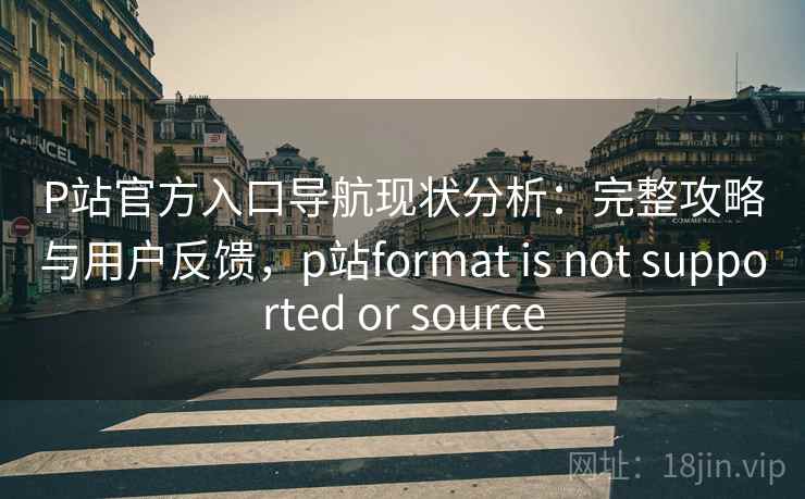 P站官方入口导航现状分析：完整攻略与用户反馈，p站format is not supported or source  第2张