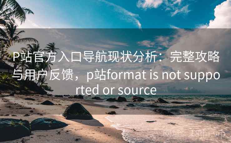 P站官方入口导航现状分析：完整攻略与用户反馈，p站format is not supported or source  第1张