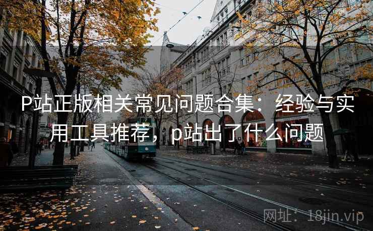 P站正版相关常见问题合集：经验与实用工具推荐，p站出了什么问题  第2张