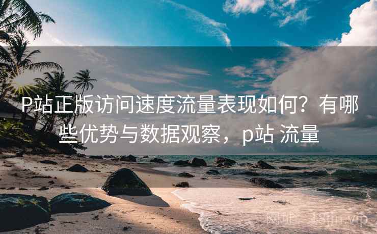 P站正版访问速度流量表现如何？有哪些优势与数据观察，p站 流量  第1张