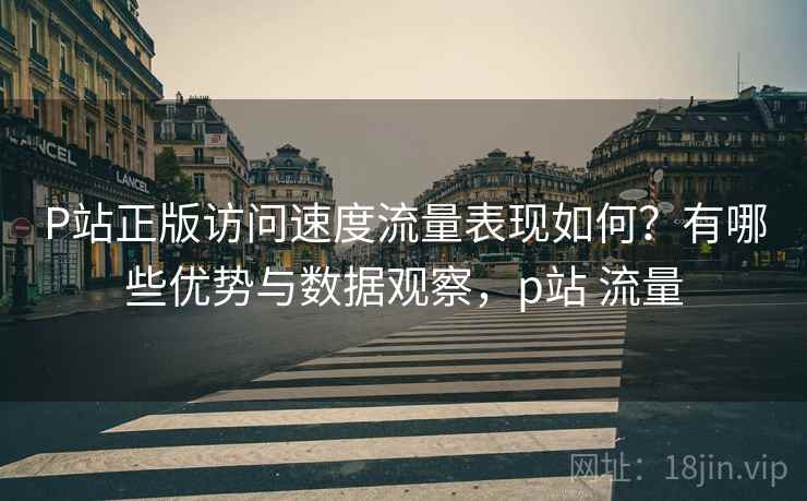 P站正版访问速度流量表现如何？有哪些优势与数据观察，p站 流量  第2张