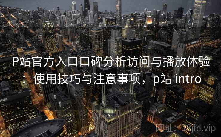 P站官方入口口碑分析访问与播放体验：使用技巧与注意事项，p站 intro  第1张