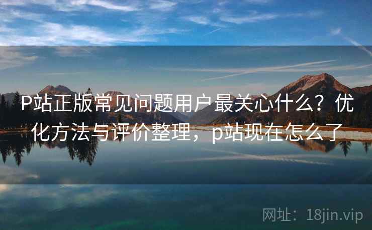 P站正版常见问题用户最关心什么？优化方法与评价整理，p站现在怎么了  第2张