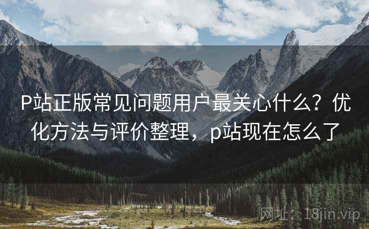P站正版常见问题用户最关心什么？优化方法与评价整理，p站现在怎么了  第1张