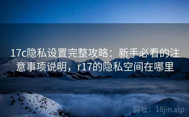 17c隐私设置完整攻略：新手必看的注意事项说明，r17的隐私空间在哪里  第1张