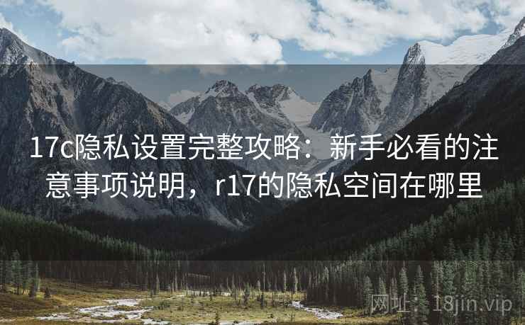 17c隐私设置完整攻略：新手必看的注意事项说明，r17的隐私空间在哪里  第2张