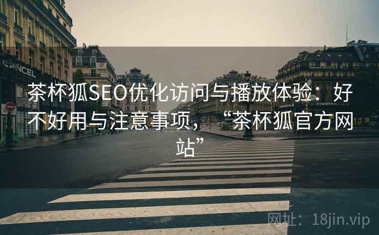 茶杯狐SEO优化访问与播放体验：好不好用与注意事项，“茶杯狐官方网站”  第2张