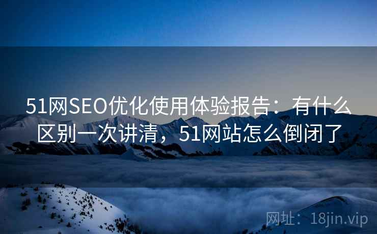 51网SEO优化使用体验报告：有什么区别一次讲清，51网站怎么倒闭了  第2张