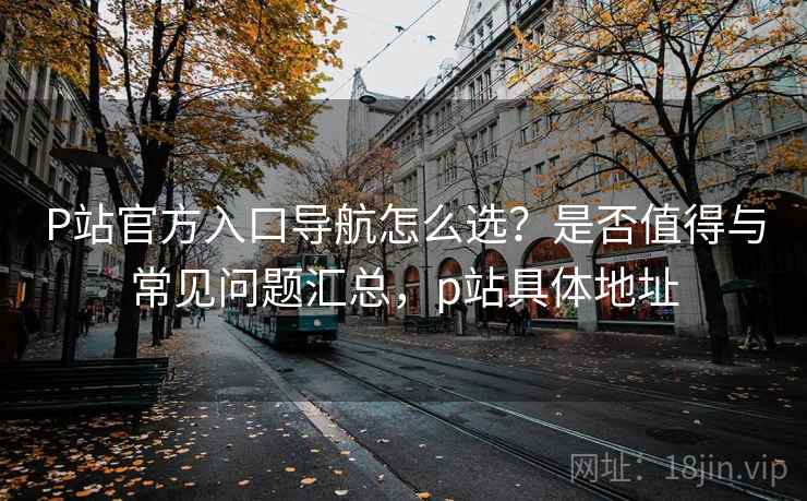 P站官方入口导航怎么选？是否值得与常见问题汇总，p站具体地址  第1张