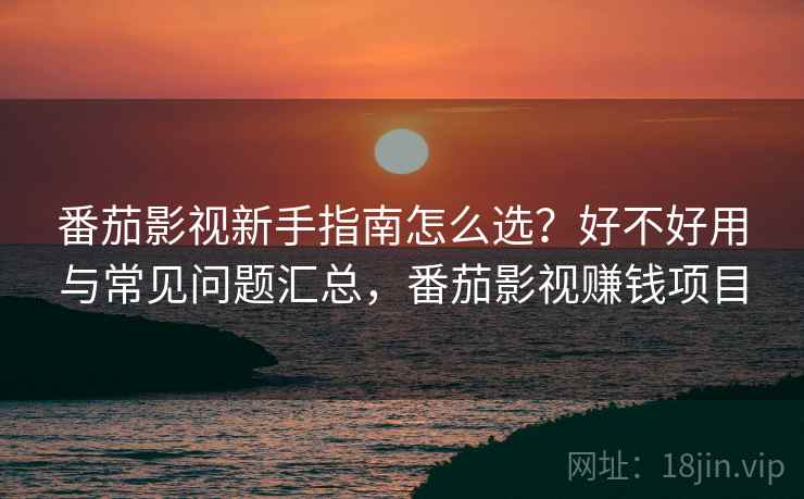 番茄影视新手指南怎么选？好不好用与常见问题汇总，番茄影视赚钱项目  第2张