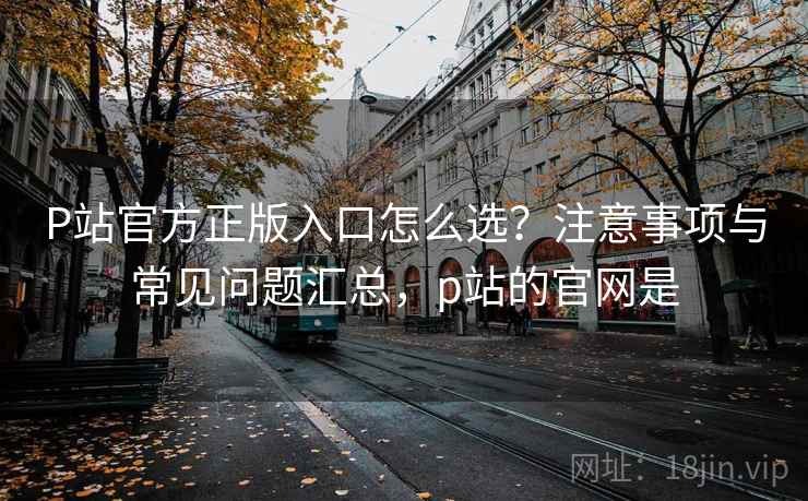 P站官方正版入口怎么选？注意事项与常见问题汇总，p站的官网是  第2张